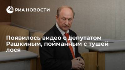 Появилось видео с депутатом Госдумы от КПРФ Рашкиным, в машине которого нашли тушу лося