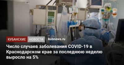 Число случаев заболевания COVID-19 в Краснодарском крае за последнюю неделю выросло на 5%