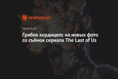 Грибок кордицепс на новых фото со съёмок сериала The Last of Us