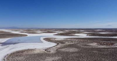 В Турции высохло второе по величине озеро, погибли тысячи фламинго (фото)
