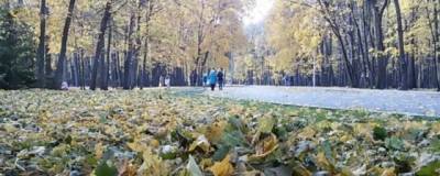 Синоптики рассказали жителям Башкирии о погоде в ноябре