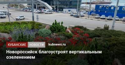 Новороссийск благоустроят вертикальным озеленением