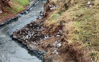 На Кировоградщине чиновников водоканала подозревают в загрязнении реки