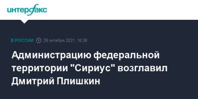 Администрацию федеральной территории "Сириус" возглавил Дмитрий Плишкин
