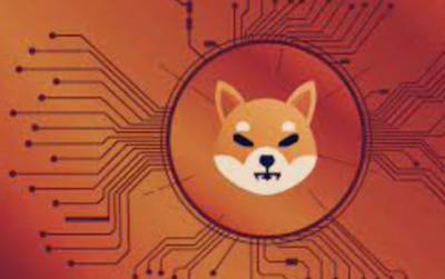«Убийца Dogecoin» за месяц подорожала на 777%. Любимый токен Маска уже в топ-10 криптовалют мира