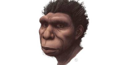 Открыто недостающее звено в эволюции человека: Homo bodoensis