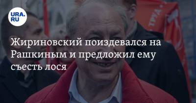 Жириновский поиздевался на Рашкиным и предложил ему съесть лося