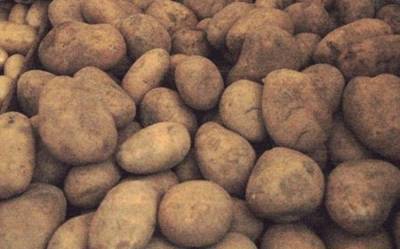 Азербайджан вернул в Иран зараженный картофель