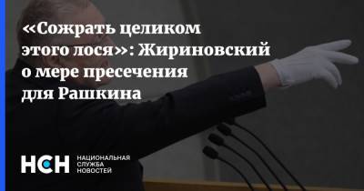 «Сожрать целиком этого лося»: Жириновский о мере пресечения для Рашкина