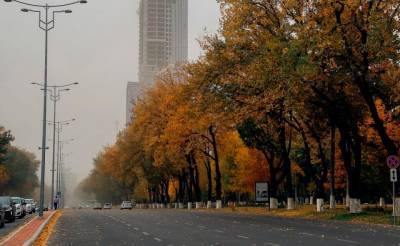 Зима близко. Какую погоду ждать узбекистанцам в ноябре и декабре