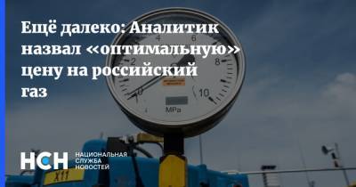 Ещё далеко: Аналитик назвал «оптимальную» цену на российский газ