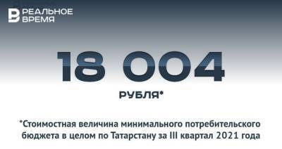 Минимальный потребительский бюджет по Татарстану составил 18 тыс. рублей — это много или мало?