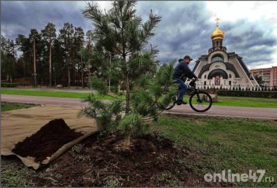 Сосновый Бор станет столицей Ленинградской области в 2022 году