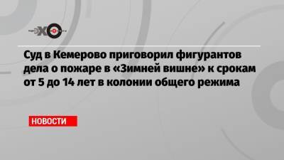Суд в Кемерово приговорил фигурантов дела о пожаре в «Зимней вишне» к срокам от 5 до 14 лет в колонии общего режима