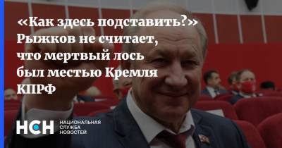 «Как здесь подставить?» Рыжков не считает, что мертвый лось был местью Кремля КПРФ