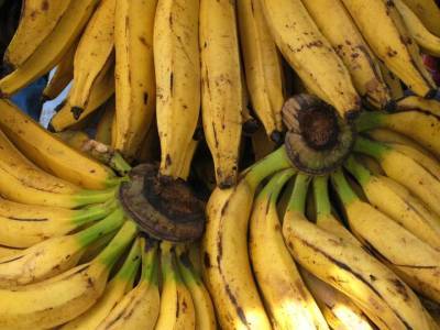 Диетолог раскрыла неожиданное свойство переспелых бананов
