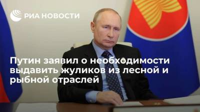 Путин назвал лесную и рыбную отрасли самыми криминальными в России