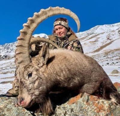 Полиция сообщила, что московская охотница законно убила козерога в алтайский горах