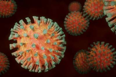 Американская разведка связала происхождение коронавируса с Уханьским институтом