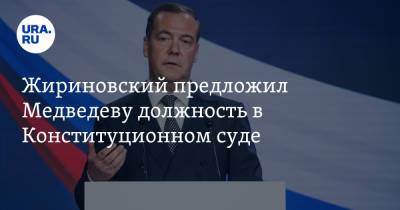 Жириновский предложил Медведеву должность в Конституционном суде