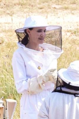 Самый гламурный пчеловод — Анджелина Джоли во Франции
