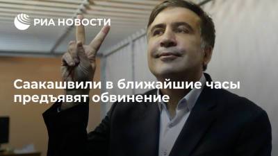 Имеди: Саакашвили в ближайшие часы предъявят обвинение в незаконном пересечении госграницы