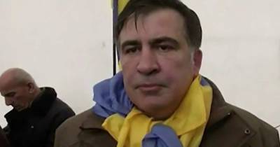 В Совфеде увидели у Саакашвили признаки психического заболевания