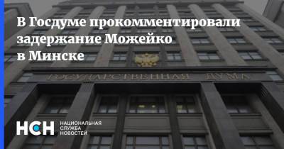 В Госдуме прокомментировали задержание Можейко в Минске