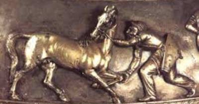 В Армении нашли гробницу коня вымершей еще до нашей эры породы