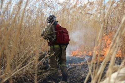 В Хабаровском крае тушили горящую траву