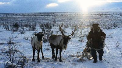 В Гидрометцентре предупредили о зимней погоде в ряде регионов РФ