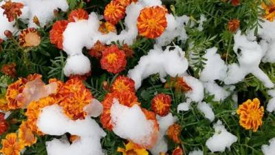 Зима начнется в октябре: синоптики рассказали, когда в украине выпадет первый снег