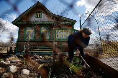 В Ульяновской области каждый второй садовод - сердечник или гипертоник