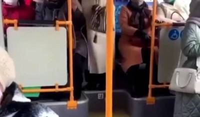 Тюменские пенсионерки устроили караоке в автобусе