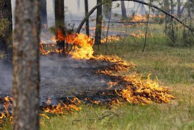 В шести районах Оренбургской области обострилась пожароопасная ситуация
