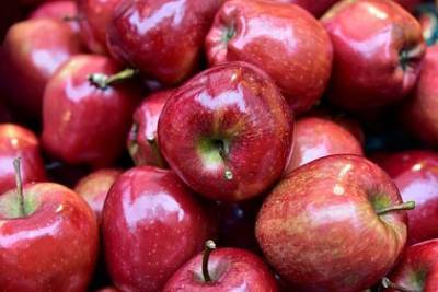 Диетолог раскрыла опасность большого количества яблок