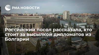 За высылкой российских дипломатов из Болгарии стоят США, заявила посол Митрофанова