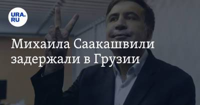 Михаила Саакашвили задержали в Грузии