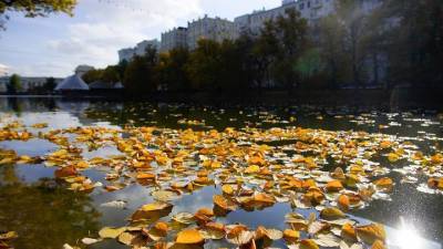 Синоптик предупредила о первом серьезном похолодании в Москве после 20 октября