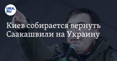Киев собирается вернуть Саакашвили на Украину