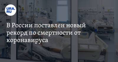 В России поставлен новый рекорд по смертности от коронавируса