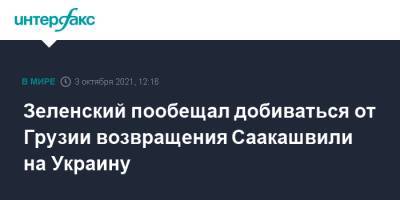 Зеленский пообещал добиваться от Грузии возвращения Саакашвили на Украину