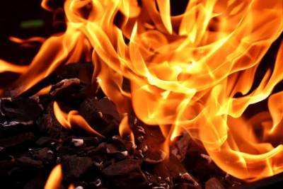 Пожары в ДНР: погиб 1 человек, пострадало еще 2