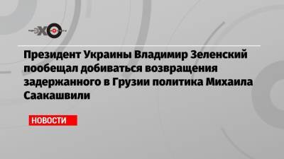 Президент Украины Владимир Зеленский пообещал добиваться возвращения задержанного в Грузии политика Михаила Саакашвили
