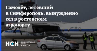 Самолёт, летевший в Симферополь, вынужденно сел в ростовском аэропорту