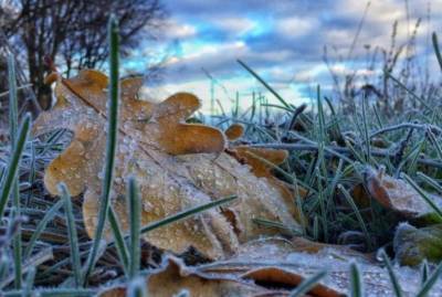 Синоптики предупредили о заморозках в Украине: где будет холоднее