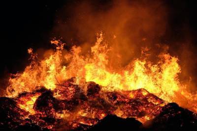 7 человек в ночь на воскресенье тушили пожар под Пушкинскими Горами