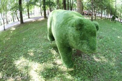 В Смоленске к «медведям» в Лопатинском саду ведет дорожка из дерева