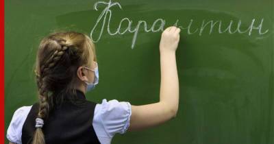 В Минпросвещения не планируют массового закрытия школ из-за коронавируса