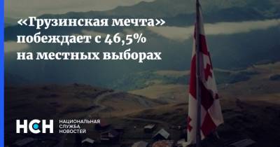 «Грузинская мечта» побеждает с 46,5% на местных выборах